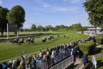 A photo of Windsor Racecourse