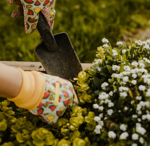 Hands gardening